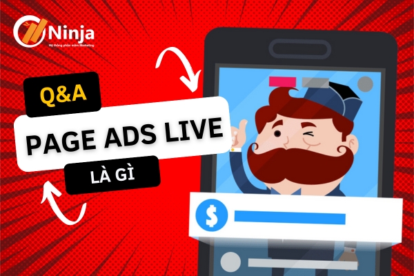  page ads live là gì